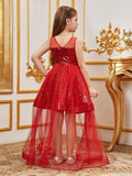 Tween Girls' Sleeveless Contrast Mesh Sequin Party Dress - Elonnashop