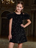 Tween Girls' Ruffle Trim Sequin Party Dress - Elonnashop