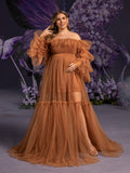 Plus Maternity Ruffle Trim Off Shoulder Mesh Overlay Photography Dress