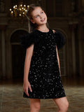 Tween Girls' Ruffle Trim Sequin Party Dress - Elonnashop