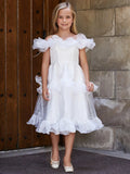 Tween Girls' Ruffle Trim Organza Overlay Party Dress - Elonnashop