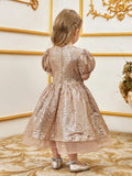 Young Girls' Cute Bow Front Puff Sleeve Sequin Party Dress