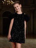 Tween Girls' Ruffle Trim Sequin Party Dress - Elonnashop