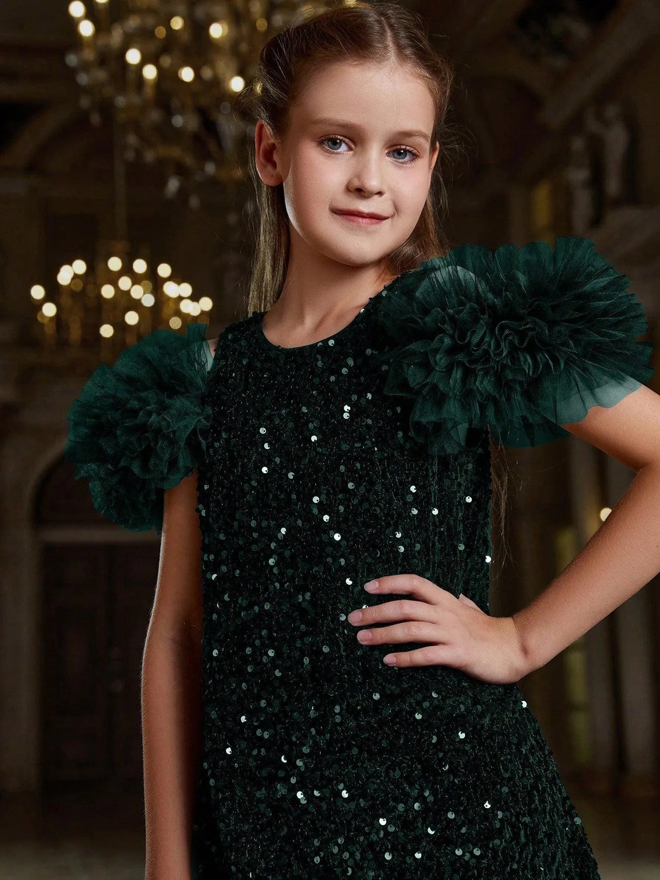 Tween Girls' Ruffle Trim Sequin Party Dress - Elonnashop